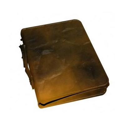 Portafolio