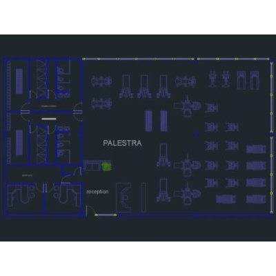 Plano de gimnasio en AutoCAD depurado