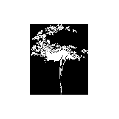 Arbol