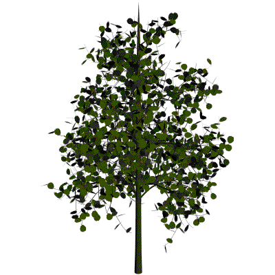 Arbol 3d max