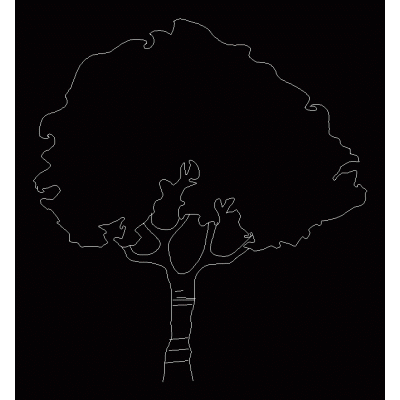 Elevacion de arbol Frondoso