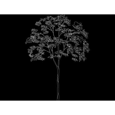 Arbol en alzado 122
