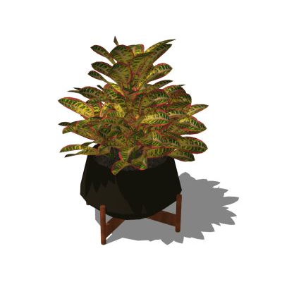 Plantas decorativas de interior texturizadas