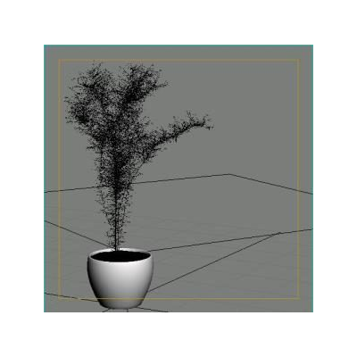 Plantas ornamentles