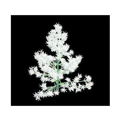 arbol Frondoso 3D para Render