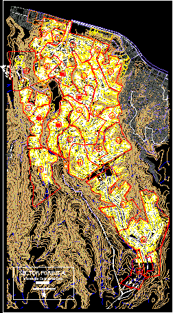 Informazioni cartografiche forestali; Viña del Mar