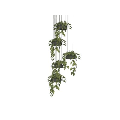 Matera con plantas colgantes con 5 puestos