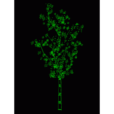 Elegante arbol en Alzado