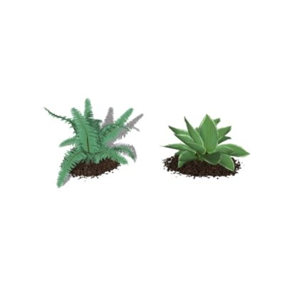 Plantas para jardines 3d