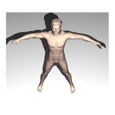 Figura Humana Detallada