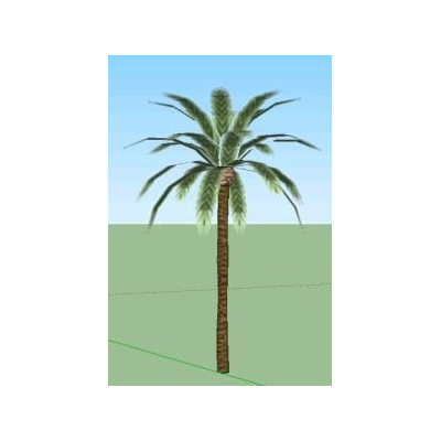 Palmera 3d