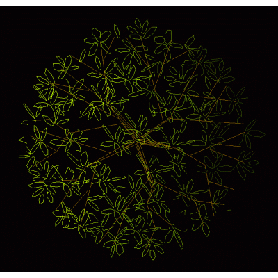 Arbol - planta