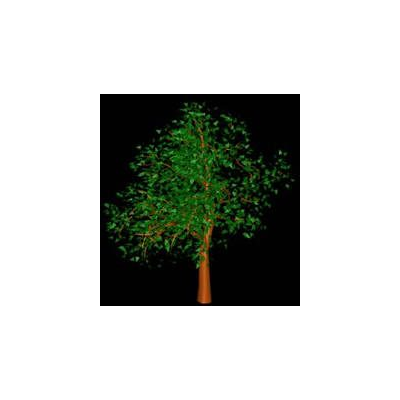 3d tree 003