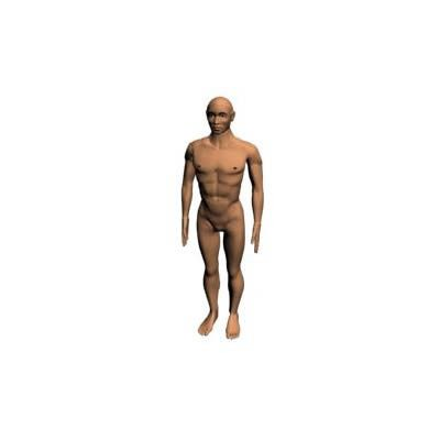 Figura humana 3d
