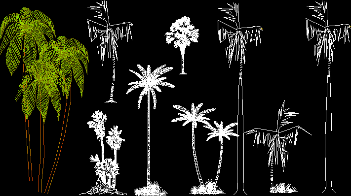 trees in 2d