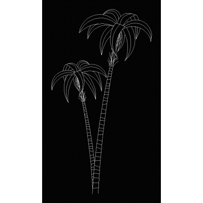 Palmeras Exoticas en Alzado