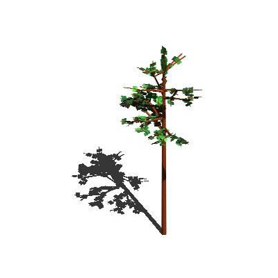 Realistic 3D Conifer