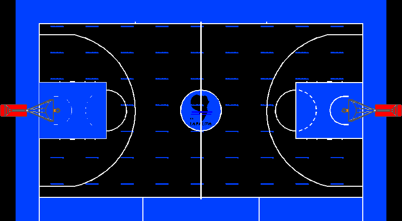 Basketball court acb - leb