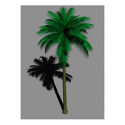 Palmera en 3d