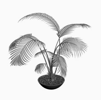 plant in 3d