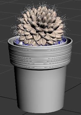 Potted plant
