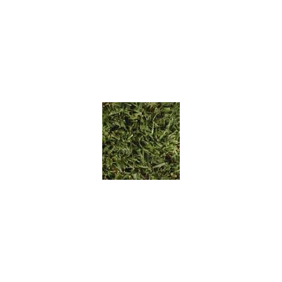 Esencia Verde: Textura de Follaje