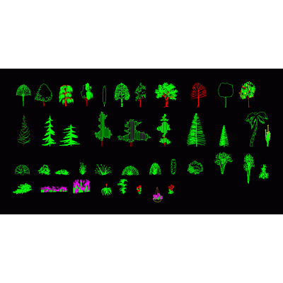 Arboles y vista superior alzado