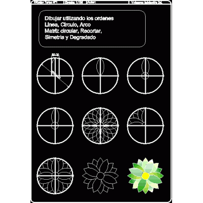 Ejercicio autocad 2d (leccion) - flor