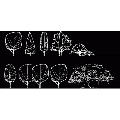 Arboles