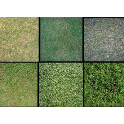 Texturas cesped