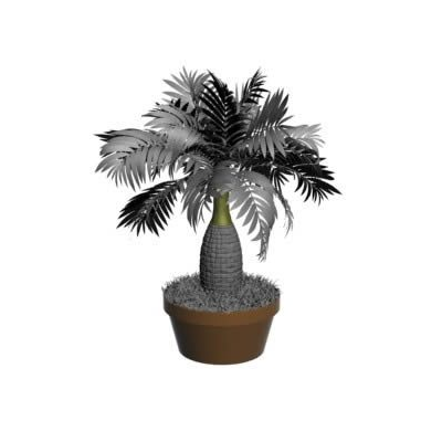 Planta en
