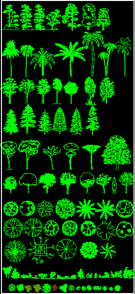 Bäume - verschiedene - Gestrüpp