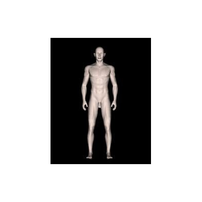 Hombre desnudo