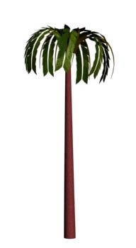 palmeira 3d