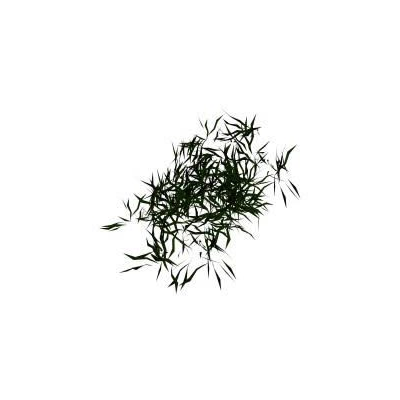 Planta de jardin 3d