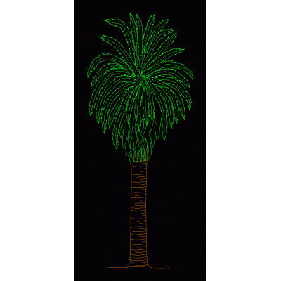 Palmera 09