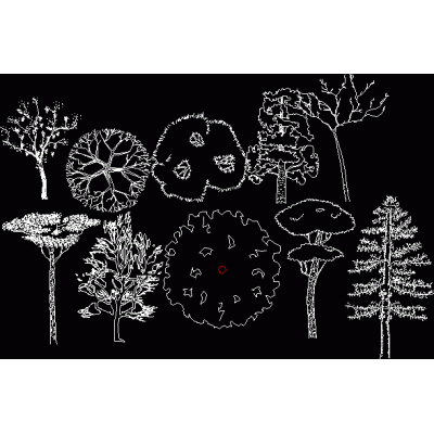 Arboles