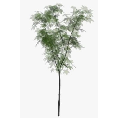 3d tree