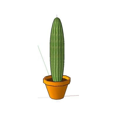 Cactus 3d