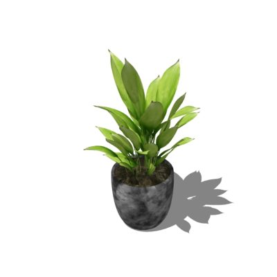 Plantas decorativas de interior texturizadas