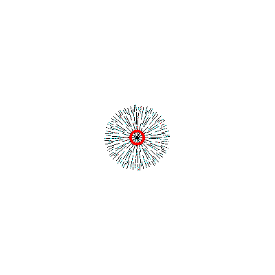 arbol Radial en Planta