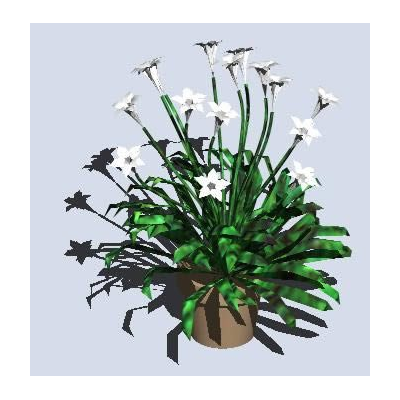 Maceta con flores 3d