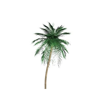 Palmera3d