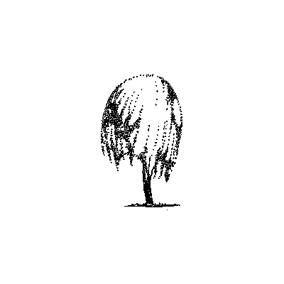 Arbol en alzado