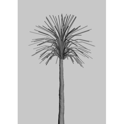 Palmera 3D Realista