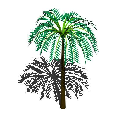 Palmera tropical