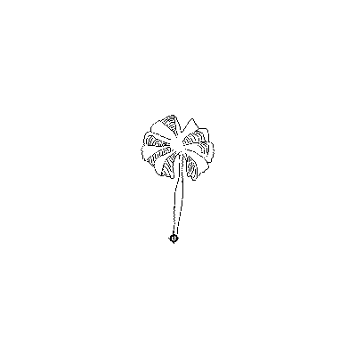 Palmera Tropical en Alzado