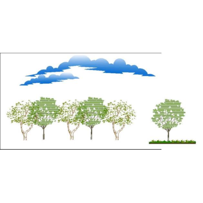 Arboles varios y nubes