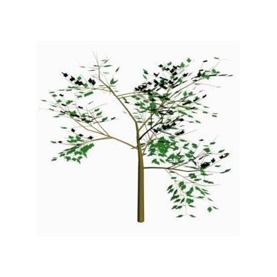 Arbol