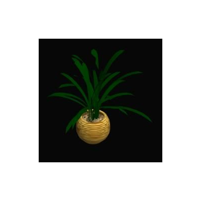 Planta en maceta